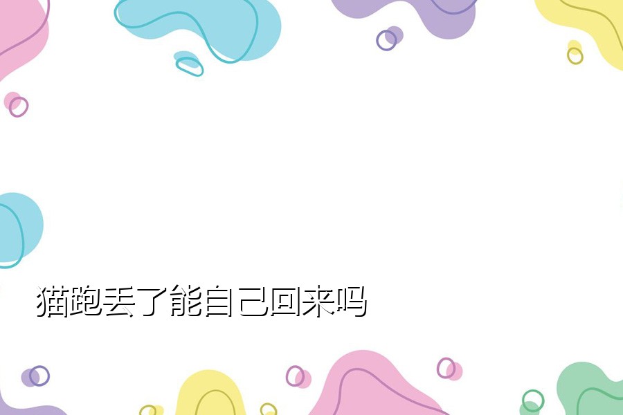 猫跑丢了能自己回来吗
