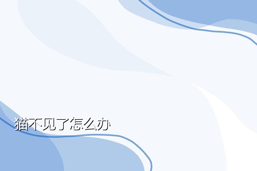 猫不见了怎么办