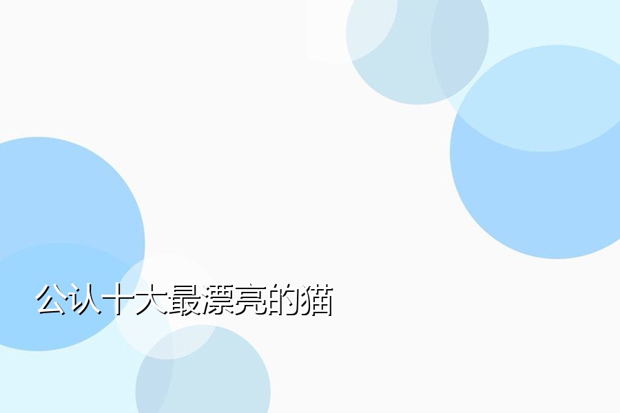 公认十大最漂亮的猫