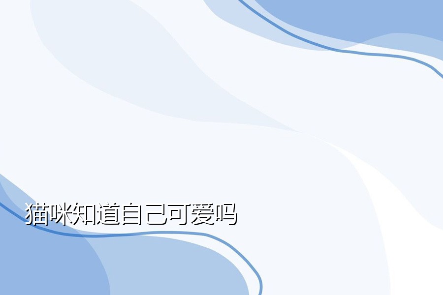 猫咪知道自己可爱吗
