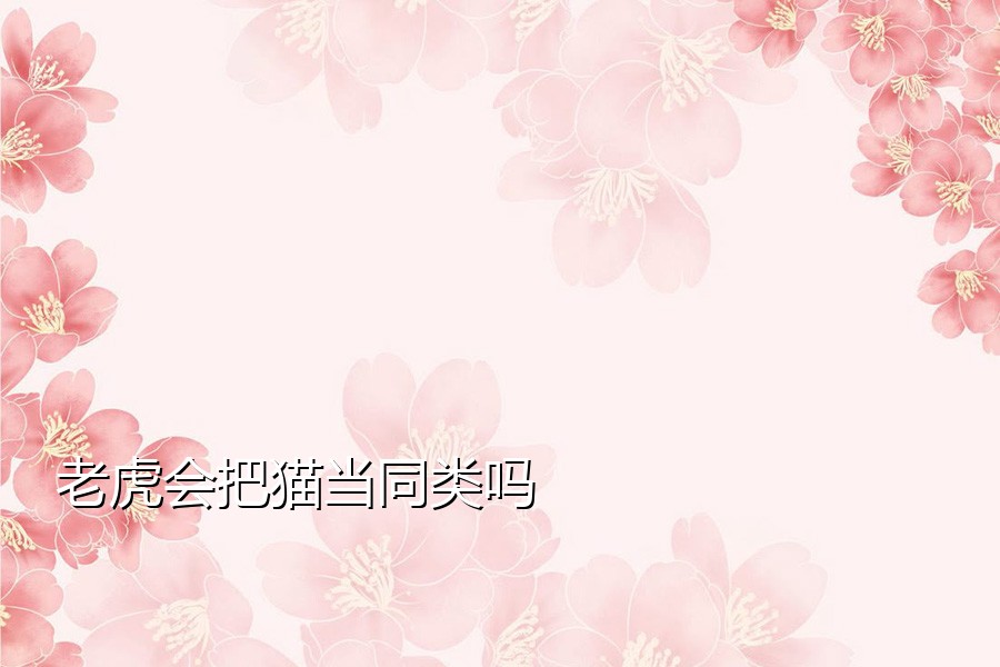 老虎会把猫当同类吗