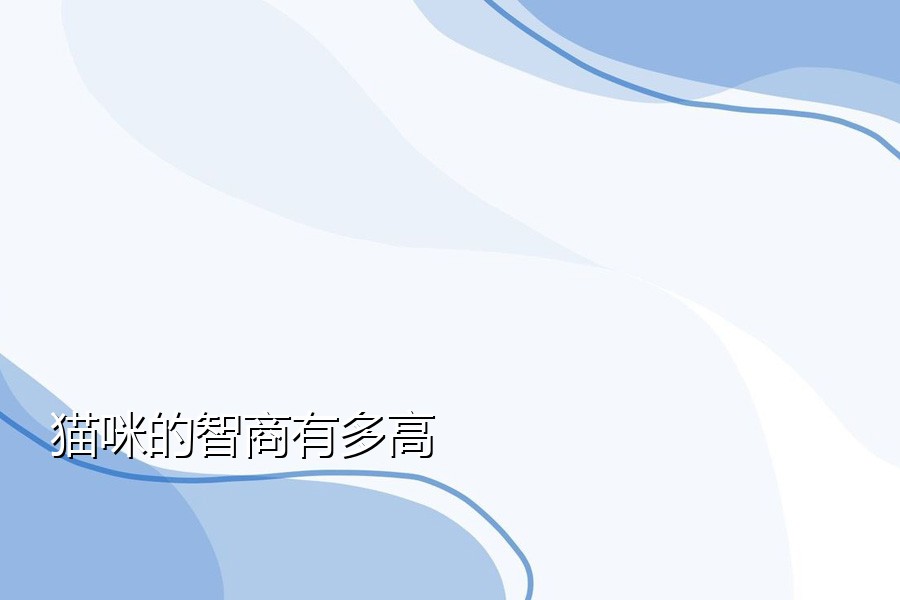 猫咪的智商有多高